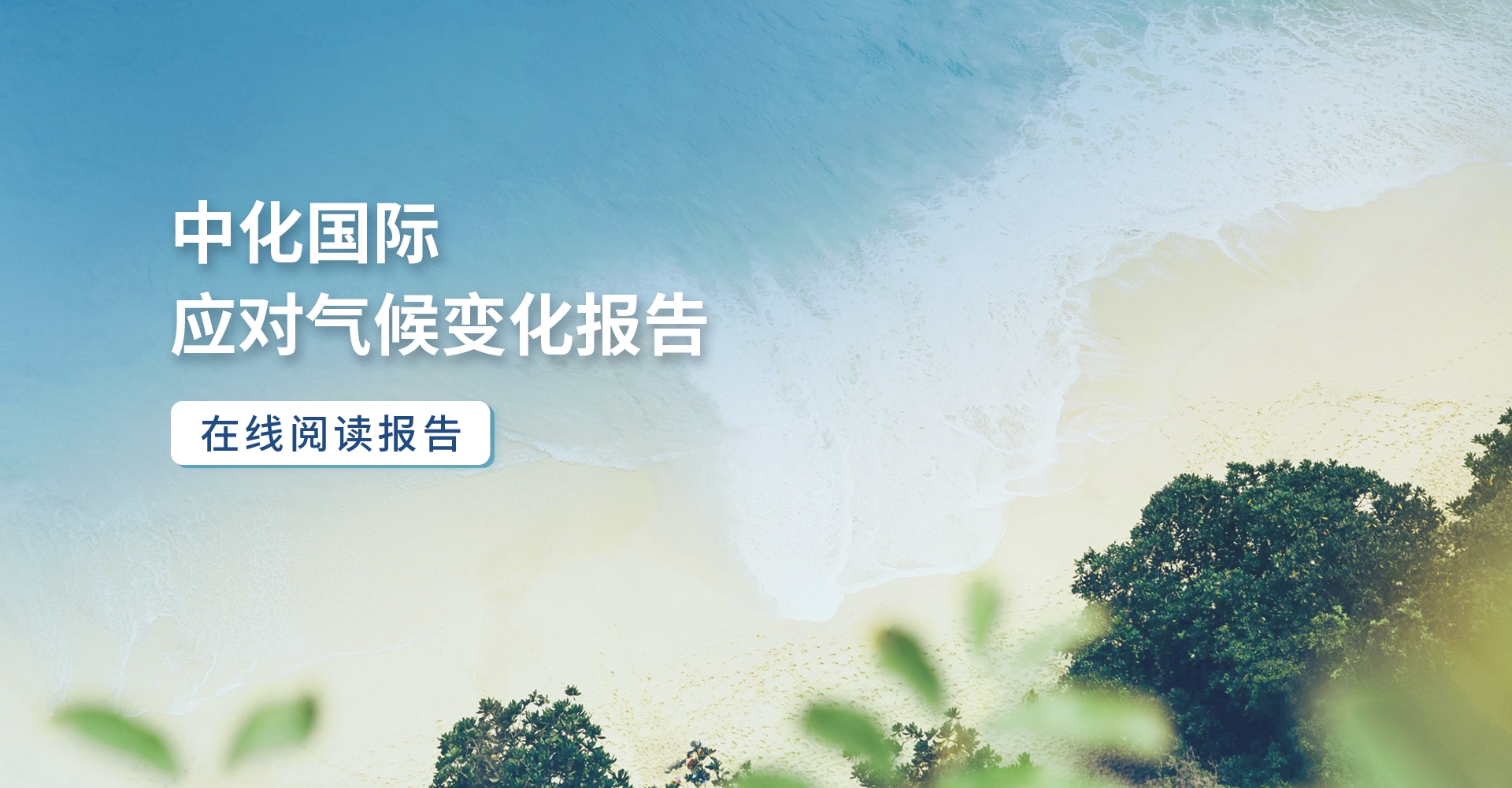 ϸ廯ѧ ɫ