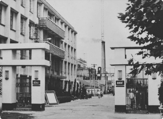 Yangnong Groups Relocation