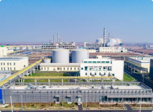 Yangnong Groups Relocation